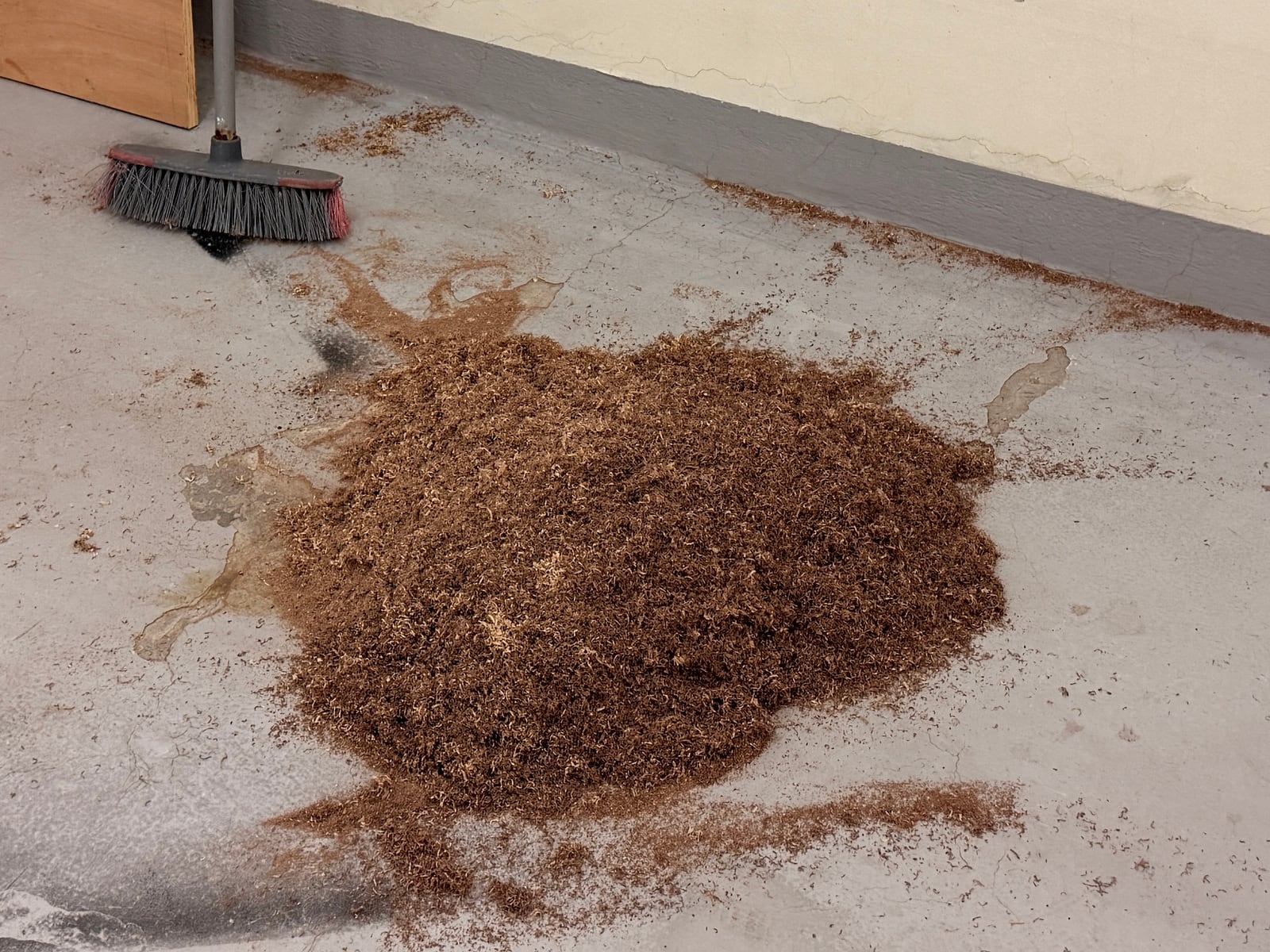 A heap of walnut sawdust and chips swept into a pile on a concrete garage floor