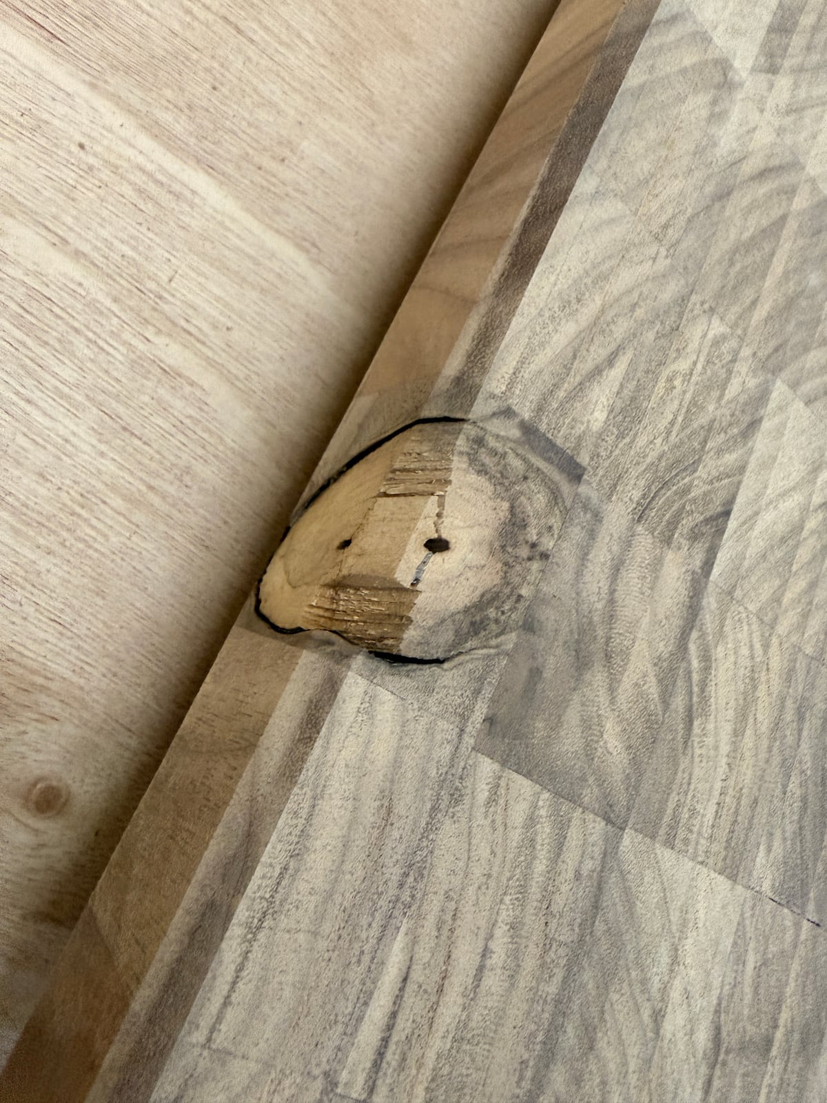 The knot after the edge was chamfered, the cut exposing more of its cracks