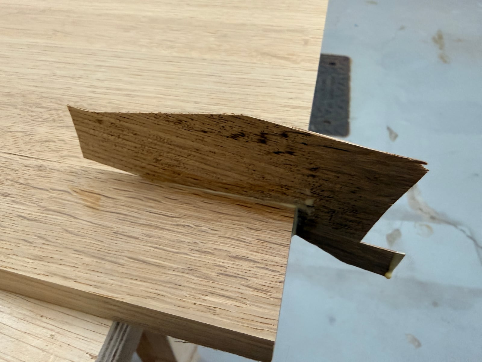 A shaped oak patch held against the gap it was cut to fill