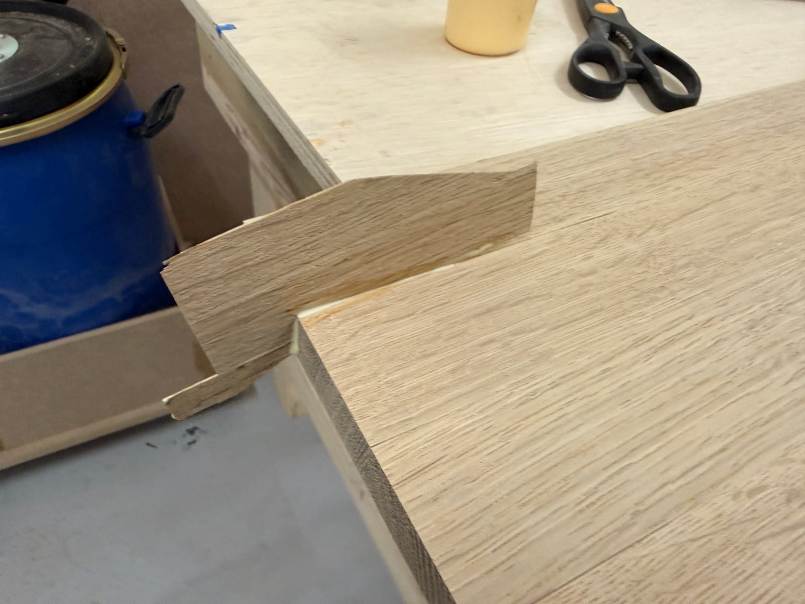 The oak patch glued into the edge of the panel