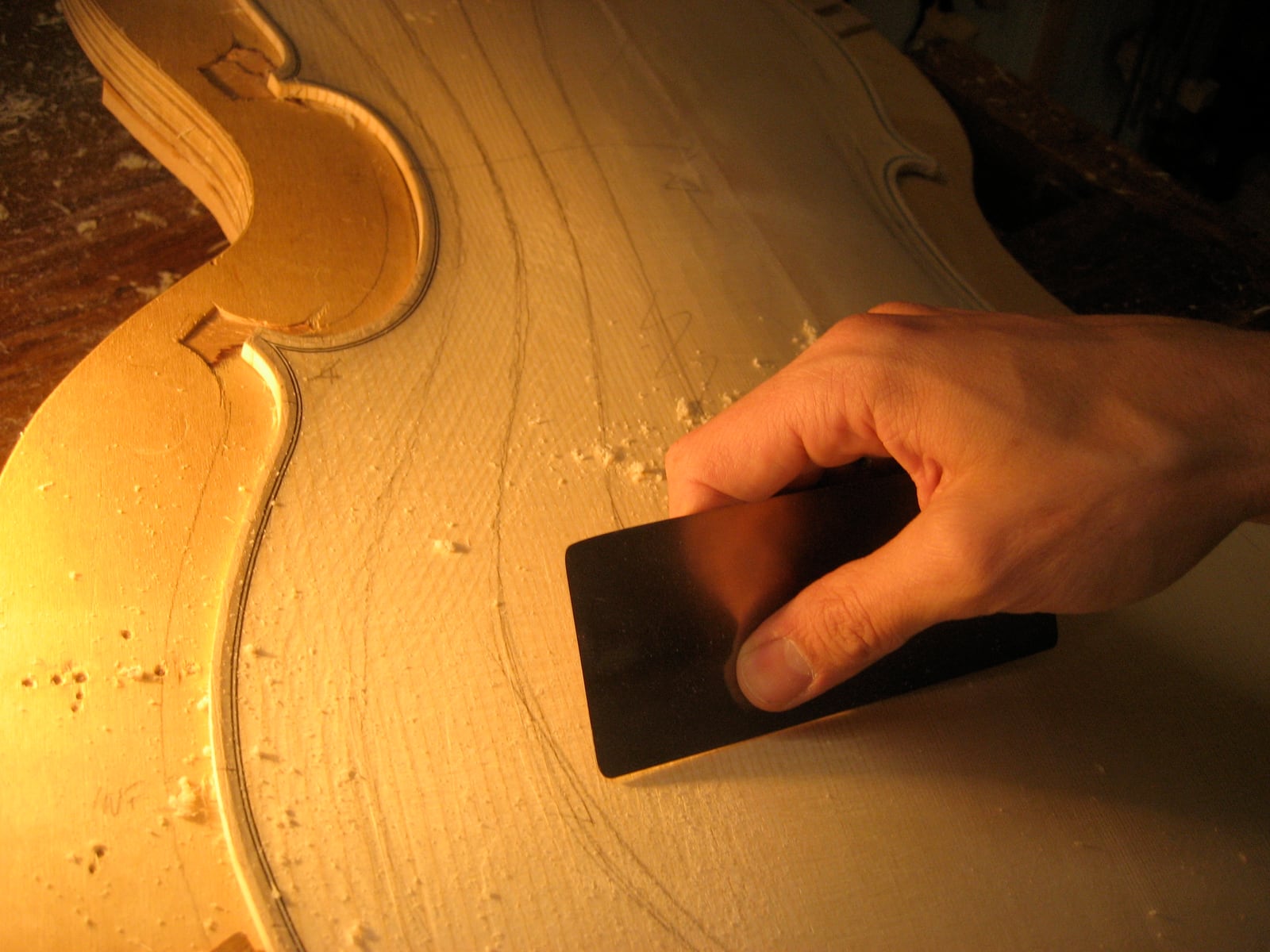 A card scraper at work on a violin plate. The burnished hook on its edge cuts a real shaving -- this is a cutting tool, not an abrasive.