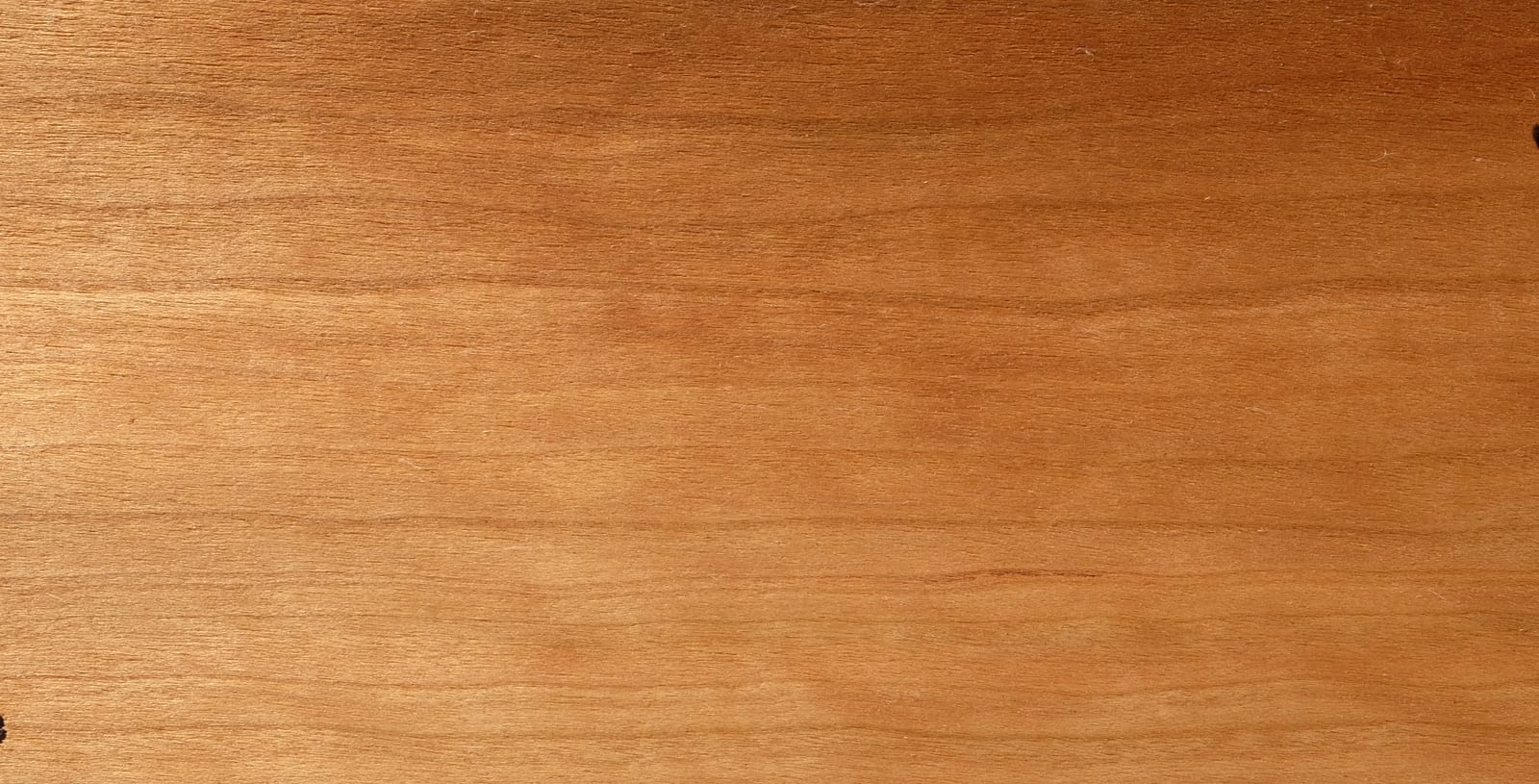 gemessertes Furnier; Holzart: KIA, Amerikanischer Kirschbaum, Black Cherry