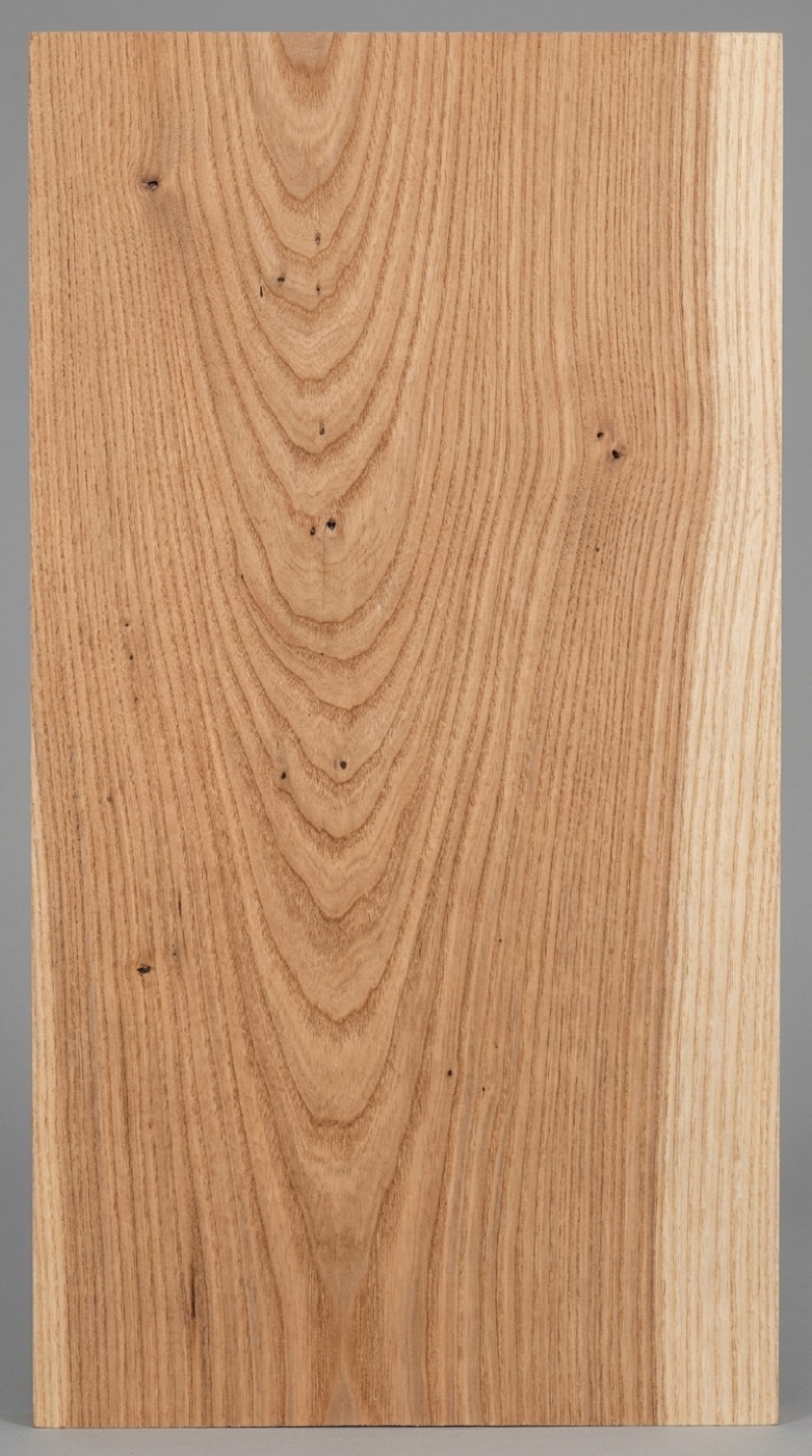 A board of American elm -- reddish brown, ring-porous, with the wavy interlocked grain that makes it nearly impossible to split