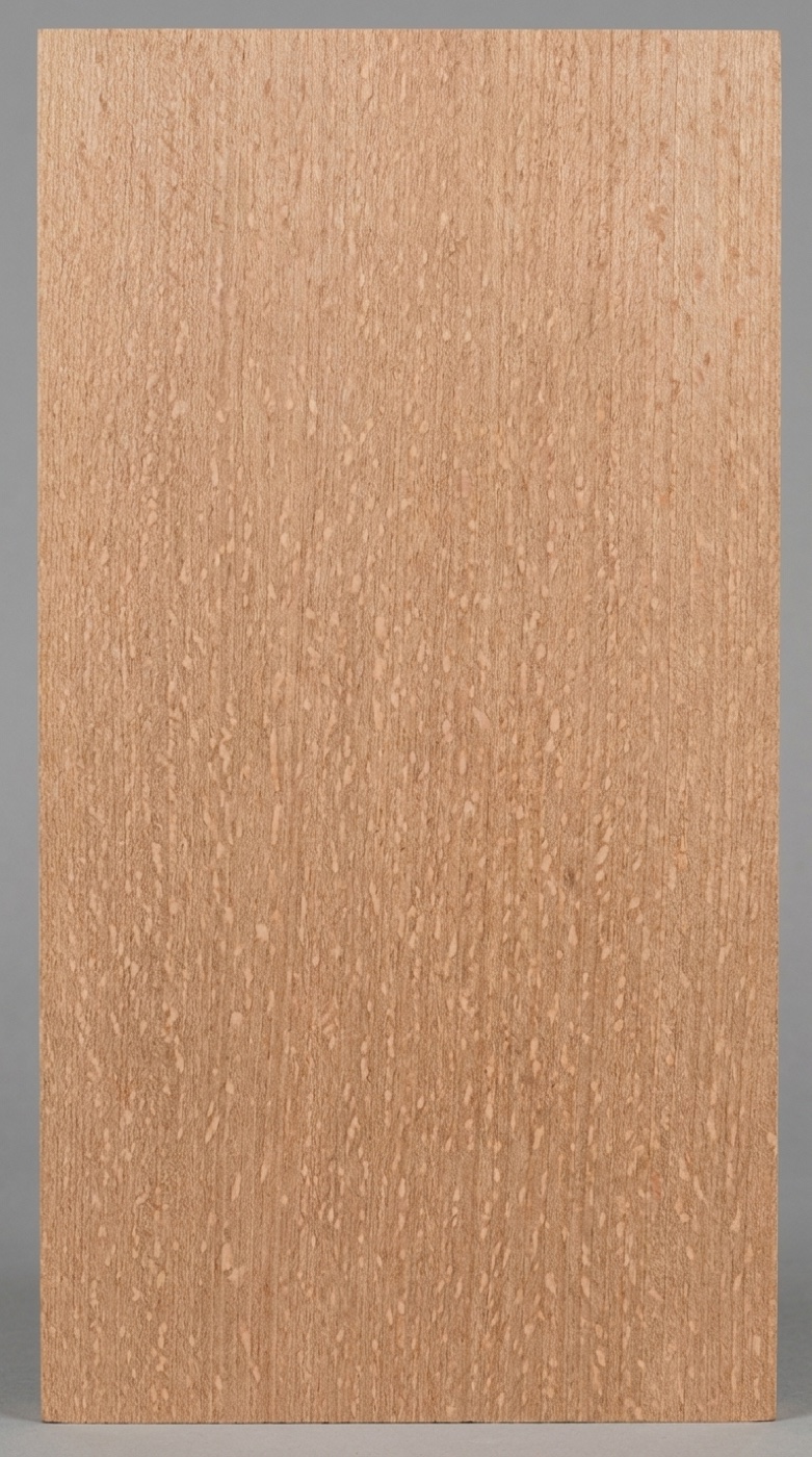 A quartersawn board of American sycamore -- the dense freckled ray fleck that only appears on this cut