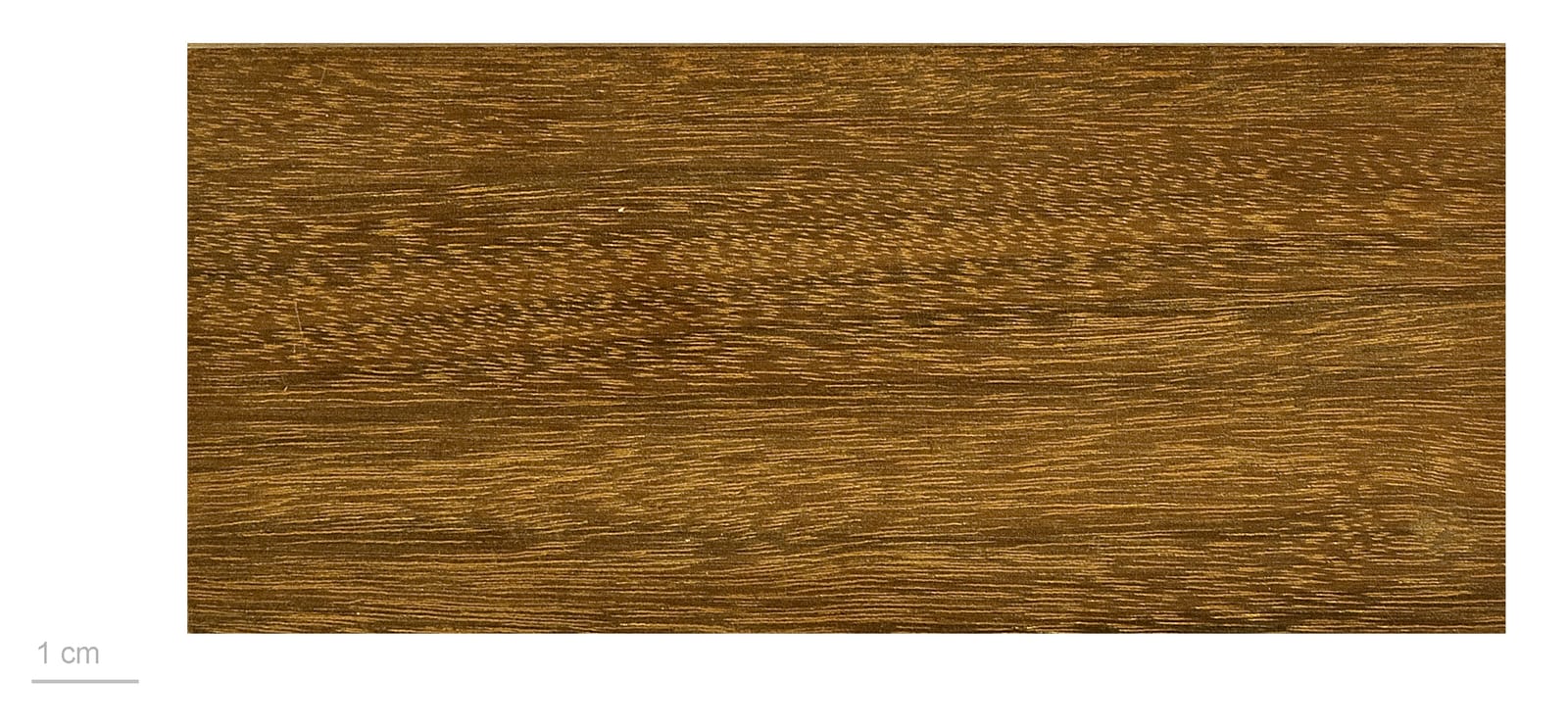 Yellow Lapacho , wood