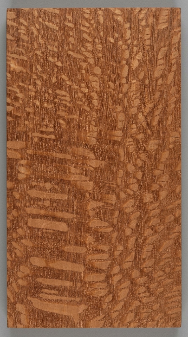 A quartersawn board of leopardwood -- the dense field of ray flecks that exists only on this cut