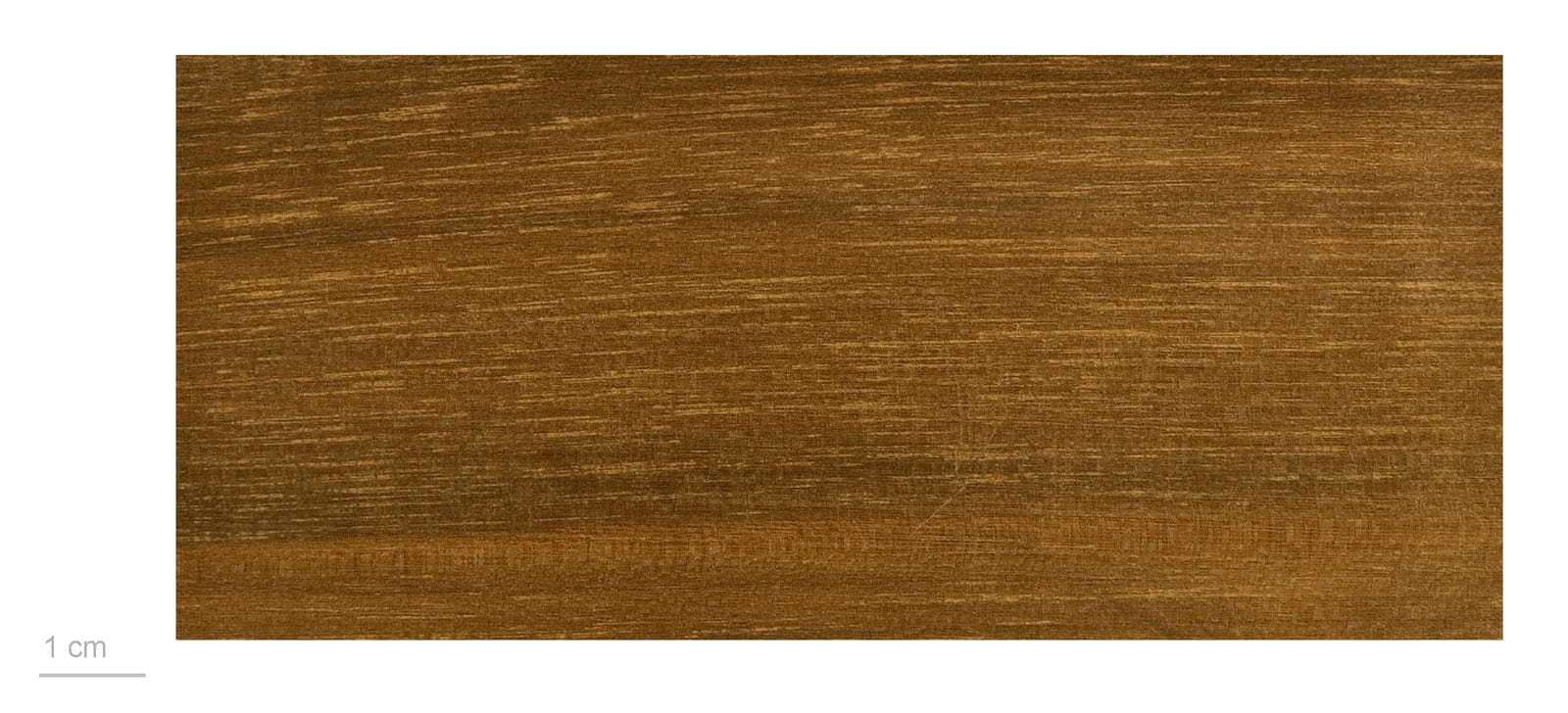 Balata , wood