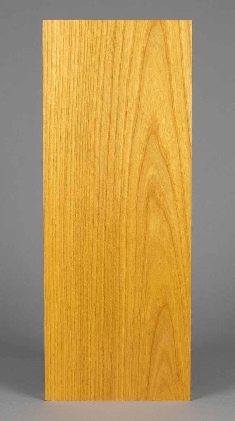 A board of Osage orange -- the vivid fresh-cut yellow that will oxidize to russet brown within a year
