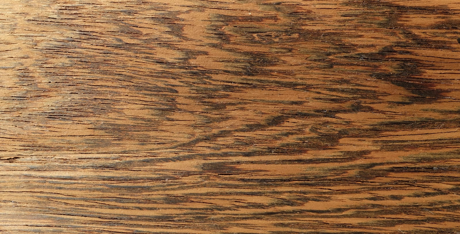 gemessertes Furnier; Holzart: WEN, Wenge, Awong, Bokonge, Monkonge