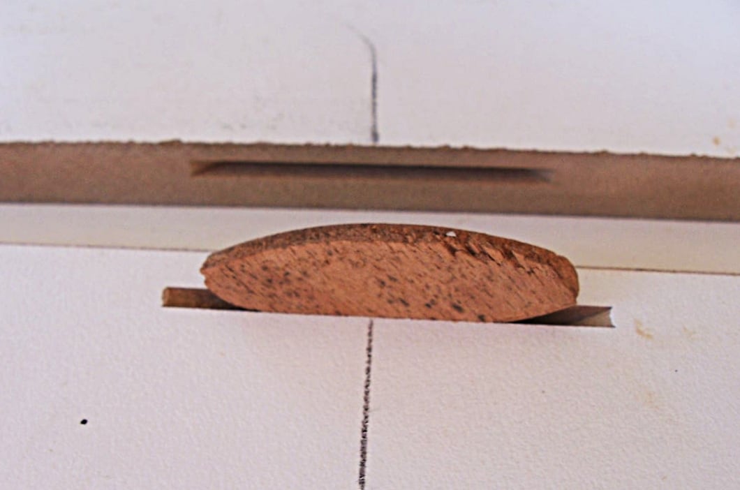 A biscuit fit into its slot before glue-up